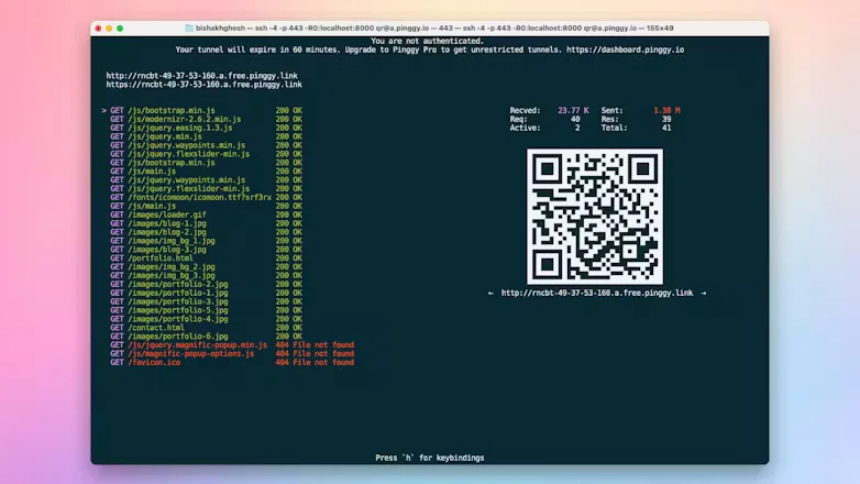 Pinggy screenshot