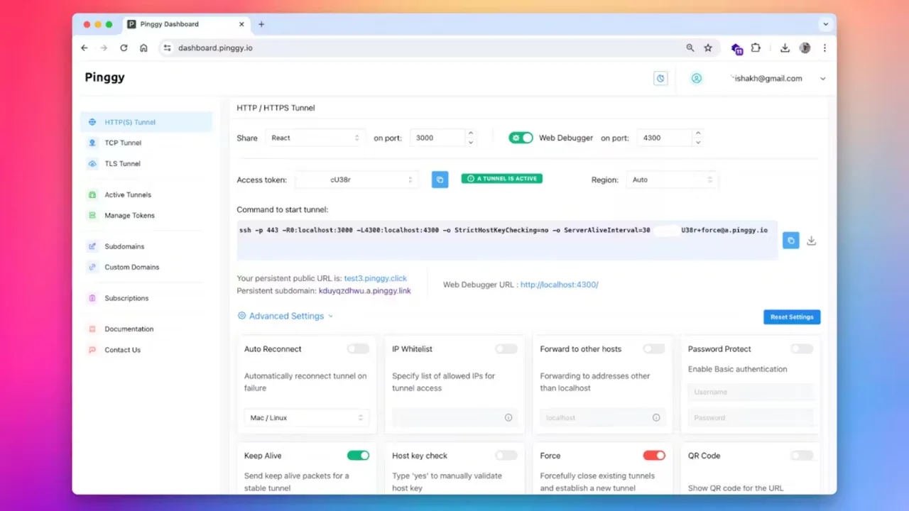 Pinggy screenshot