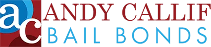 Andycallifbailbonds screenshot